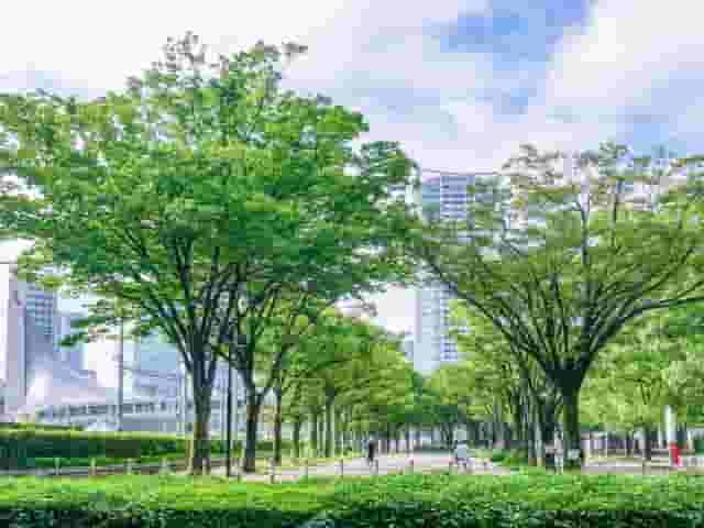 スカイコート代々木はおすすめ?マンションの特徴と周辺エリア紹介